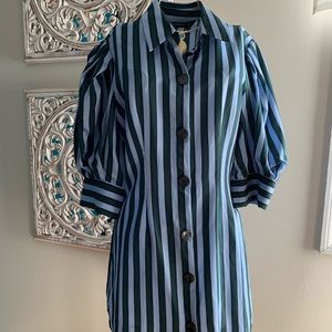 Zara shirt dress